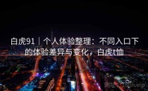 白虎91｜个人体验整理：不同入口下的体验差异与变化，白虎t恤