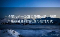 白虎图片的一次真实使用体验：新用户最容易遇到的问题与应对方式