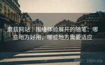 蘑菇网站｜围绕体验展开的随笔：哪些地方好用，哪些地方需要适应