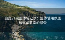 白虎91完整体验记录：整体使用氛围与浏览节奏的感受