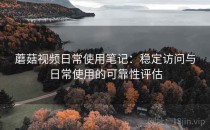 蘑菇视频日常使用笔记：稳定访问与日常使用的可靠性评估