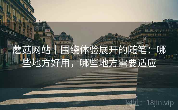 蘑菇网站|围绕体验展开的随笔:哪些地方好用,哪些地方需要适应 第1张 蘑菇网站|围绕体验展开的随笔:哪些地方好用,哪些地方需要适应 第1张