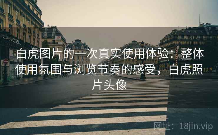 白虎图片的一次真实使用体验：整体使用氛围与浏览节奏的感受，白虎照片头像  第1张