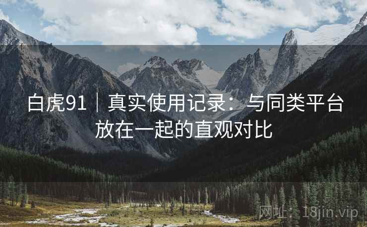 白虎91｜真实使用记录：与同类平台放在一起的直观对比  第1张
