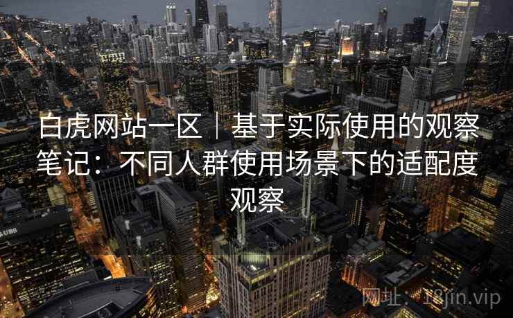 白虎网站一区｜基于实际使用的观察笔记：不同人群使用场景下的适配度观察  第2张
