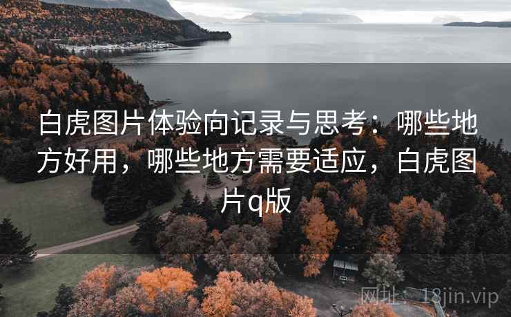 白虎图片体验向记录与思考：哪些地方好用，哪些地方需要适应，白虎图片q版  第1张