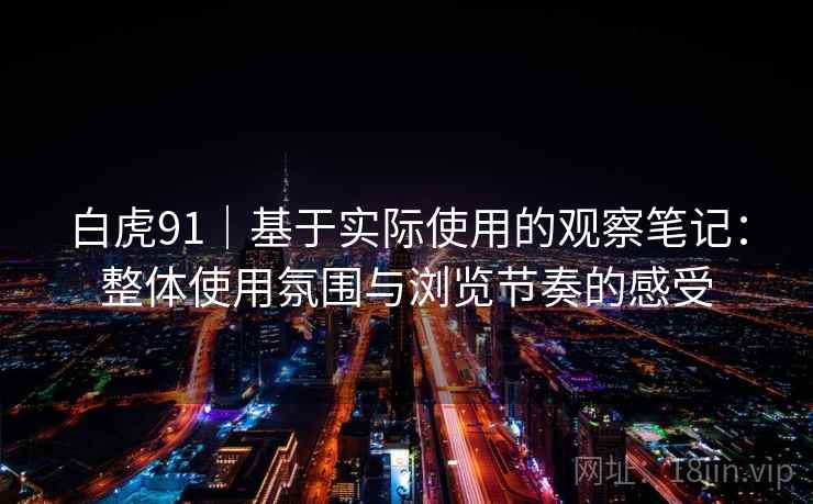 白虎91｜基于实际使用的观察笔记：整体使用氛围与浏览节奏的感受  第2张