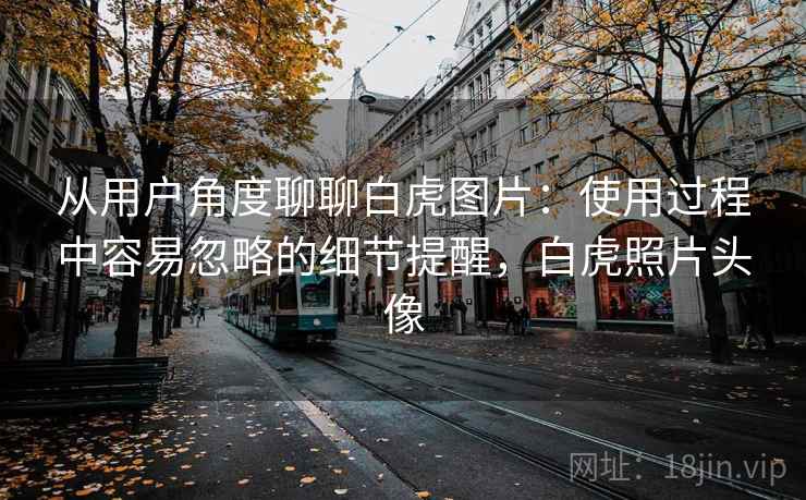 从用户角度聊聊白虎图片:使用过程中容易忽略的细节提醒,白虎照片头像 第2张 从用户角度聊聊白虎图片:使用过程中容易忽略的细节提醒,白虎照片头像 第2张