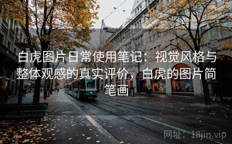 白虎图片日常使用笔记:视觉风格与整体观感的真实评价,白虎的图片简笔画 第1张 白虎图片日常使用笔记:视觉风格与整体观感的真实评价,白虎的图片简笔画 第1张