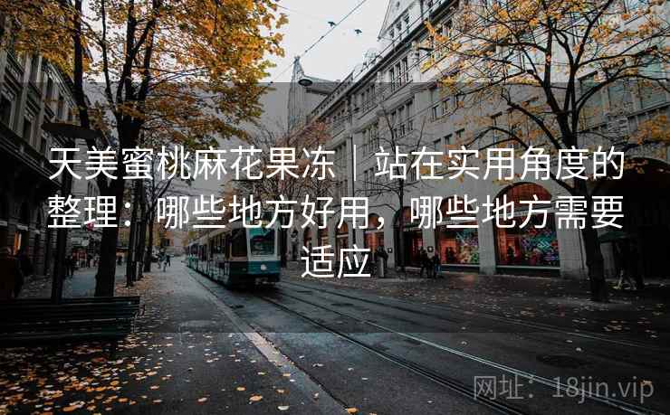天美蜜桃麻花果冻｜站在实用角度的整理：哪些地方好用，哪些地方需要适应  第1张