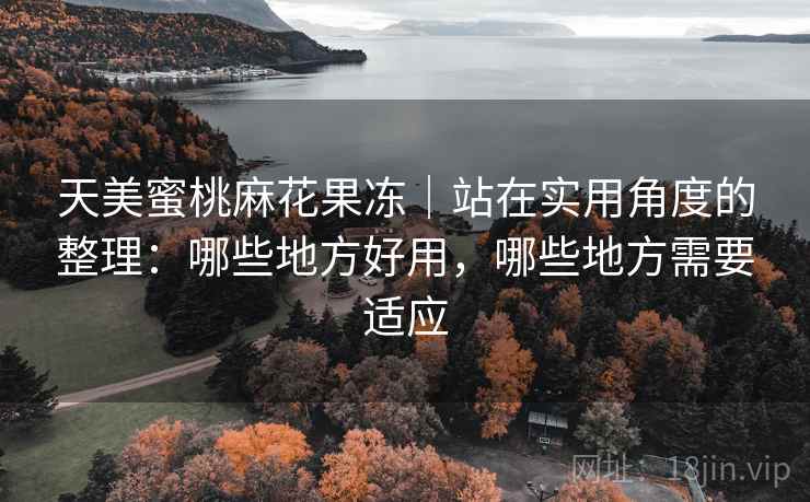 天美蜜桃麻花果冻｜站在实用角度的整理：哪些地方好用，哪些地方需要适应  第2张