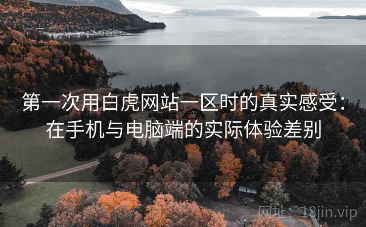 第一次用白虎网站一区时的真实感受：在手机与电脑端的实际体验差别  第2张