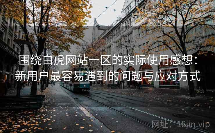 围绕白虎网站一区的实际使用感想:新用户最容易遇到的问题与应对方式 第2张 围绕白虎网站一区的实际使用感想:新用户最容易遇到的问题与应对方式 第2张