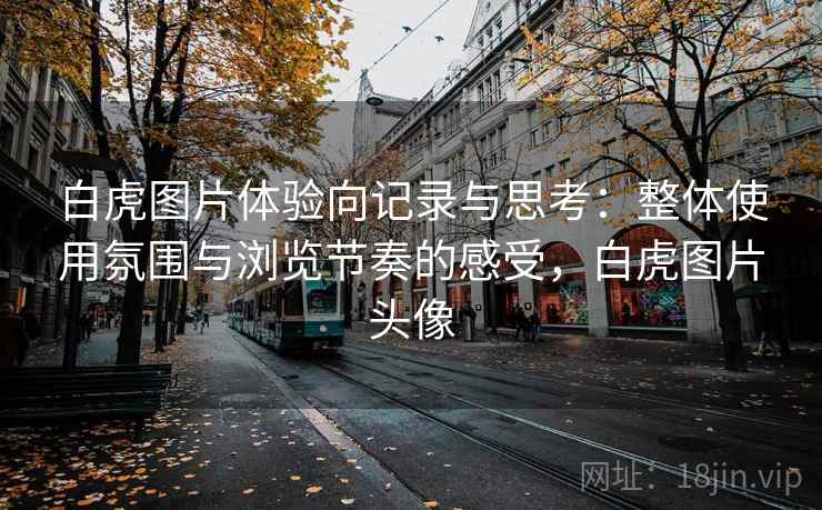 白虎图片体验向记录与思考:整体使用氛围与浏览节奏的感受,白虎图片头像 第1张 白虎图片体验向记录与思考:整体使用氛围与浏览节奏的感受,白虎图片头像 第1张