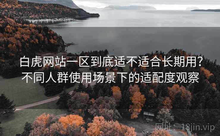 白虎网站一区到底适不适合长期用?不同人群使用场景下的适配度观察 第1张 白虎网站一区到底适不适合长期用?不同人群使用场景下的适配度观察 第1张