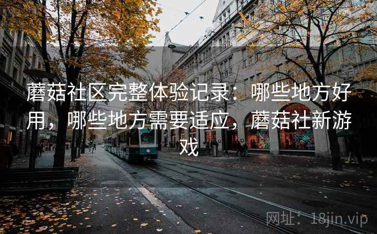 蘑菇社区完整体验记录：哪些地方好用，哪些地方需要适应，蘑菇社新游戏  第2张