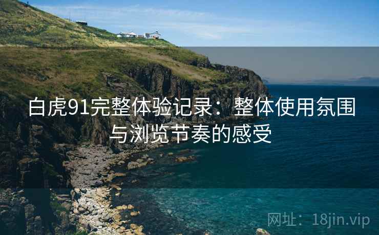 白虎91完整体验记录:整体使用氛围与浏览节奏的感受 第1张 白虎91完整体验记录:整体使用氛围与浏览节奏的感受 第1张