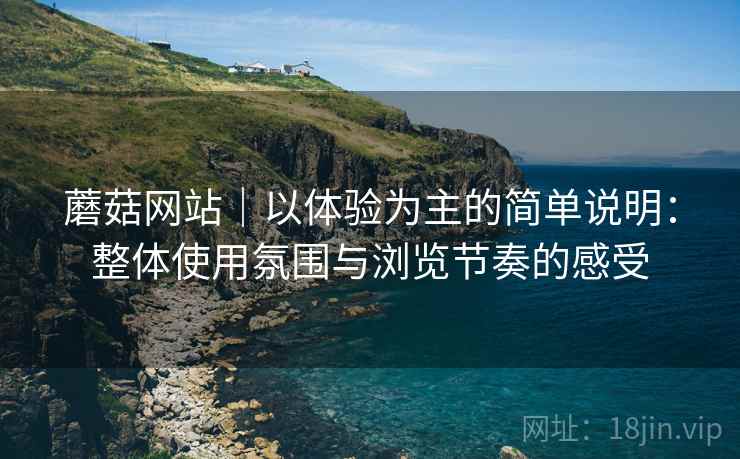 蘑菇网站|以体验为主的简单说明:整体使用氛围与浏览节奏的感受 第1张 蘑菇网站|以体验为主的简单说明:整体使用氛围与浏览节奏的感受 第1张